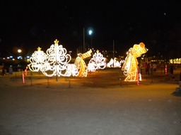 DSCN0591