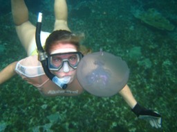 http://www.svreach.com/Reach_Cruise/Blog/Blog.html