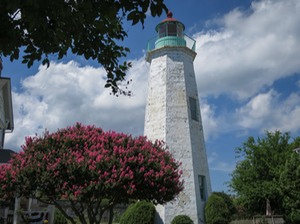 IMG_0910