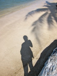 Beach walk