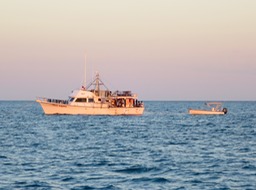 IMG_3799