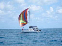 IMG_4355