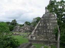 IMG_5343