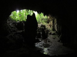 IMG_5658