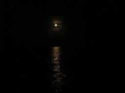 IMG_7420