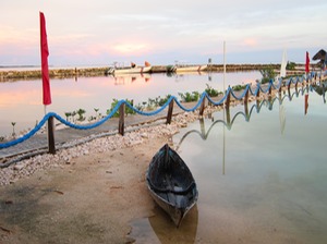 IMG_7869