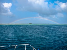 IMG_7905