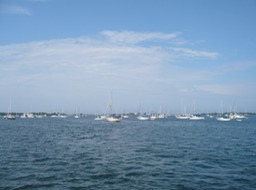 P1000137