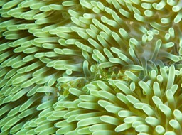 P1000176