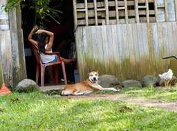 P1000567