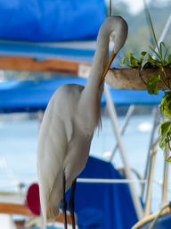 P1000623