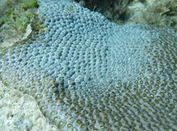 P1000725