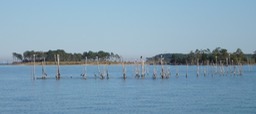 P1000849