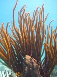 P1000939