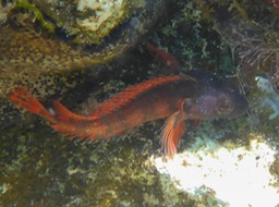 P1000963