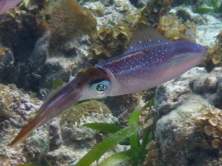 P1010015b
