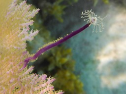 P1010191