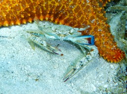 P1010194