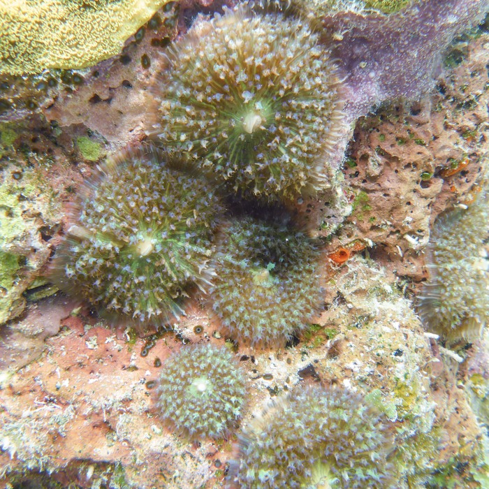 P1010206