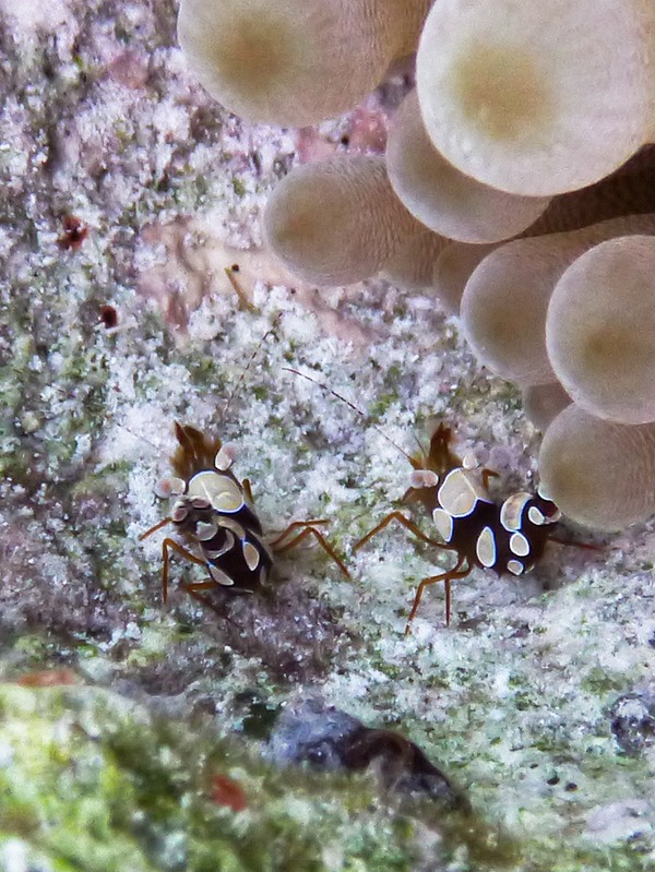 P1010273