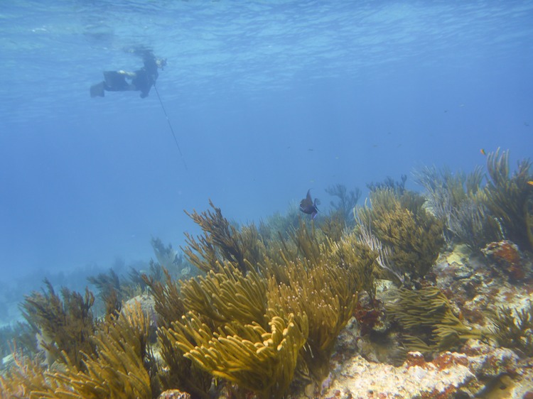 P1010362