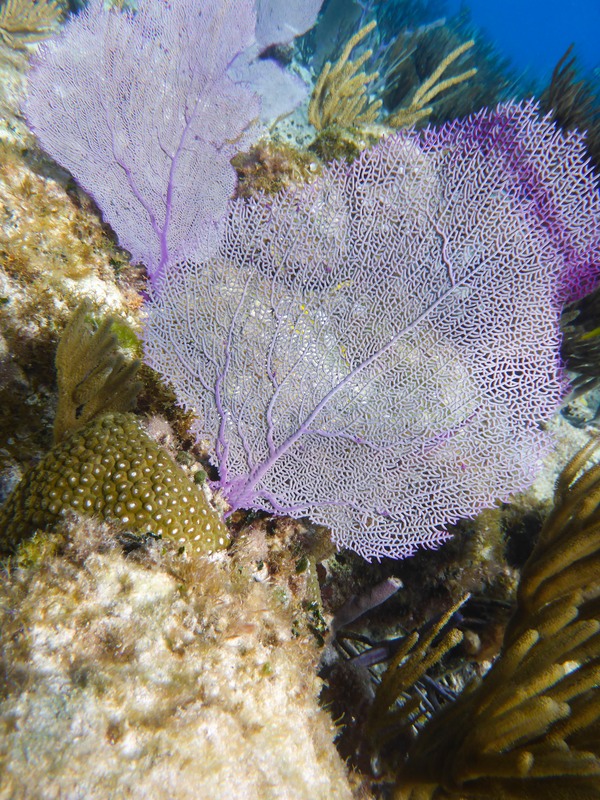 P1010363