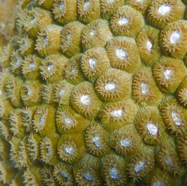 P1010366