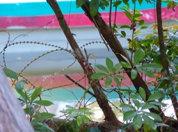 P1010430