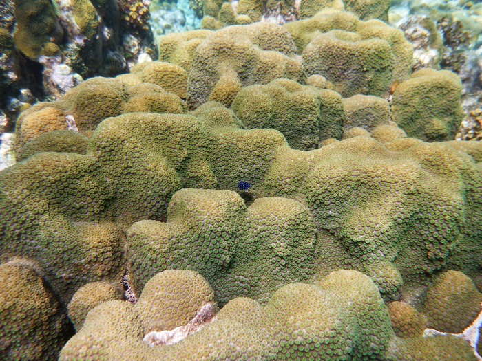P1010502
