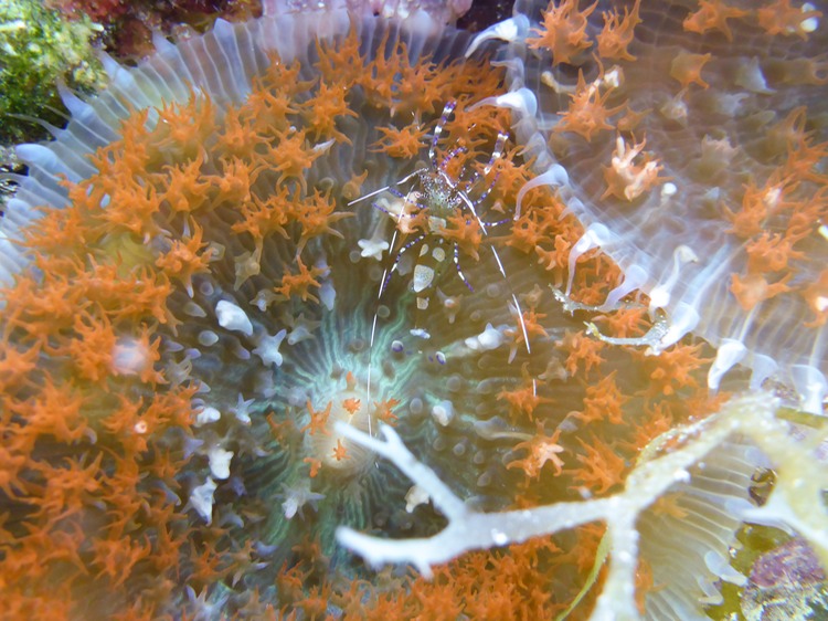 P1010509