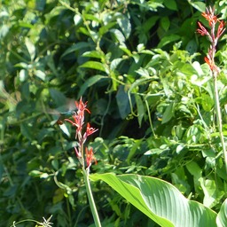 P1010543