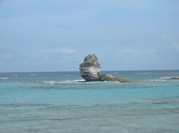 P1010598