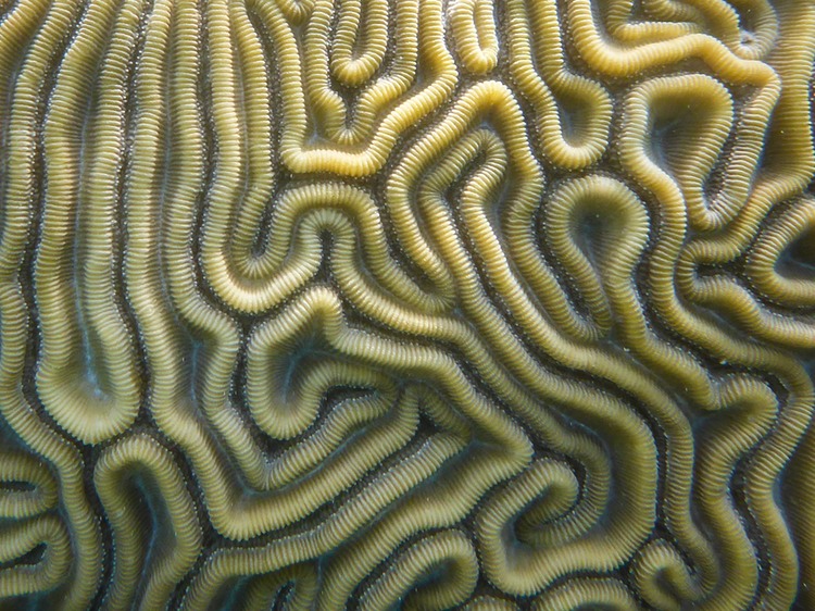 P1010666