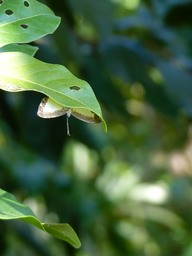 P1010782