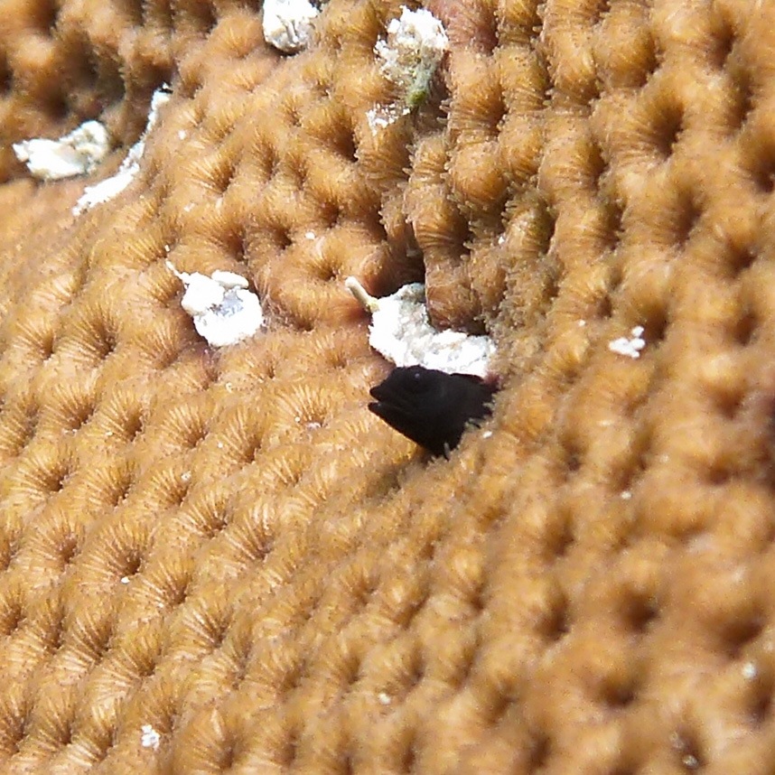 P1010931