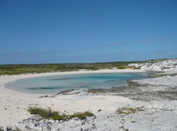 P1010965