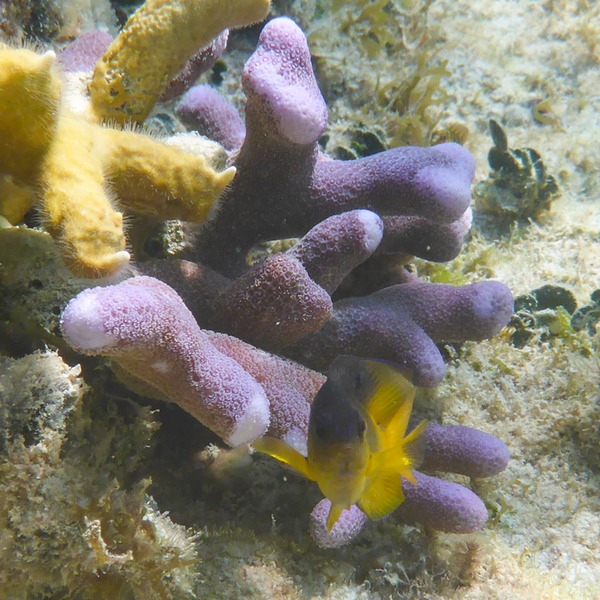 P1010967