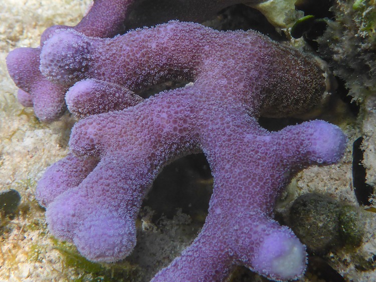P1010969