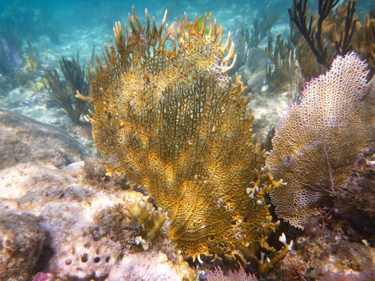 P1010984