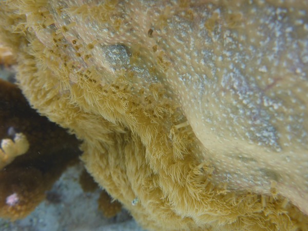 P1010993