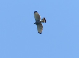 P1020001