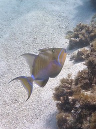 P1020019