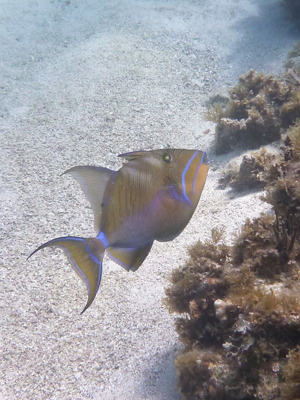 P1020019