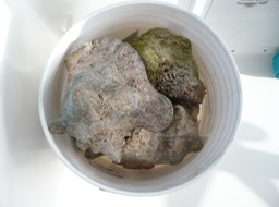 P1020032