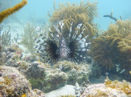P1020036