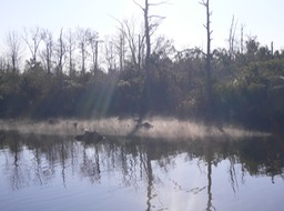 P1020080