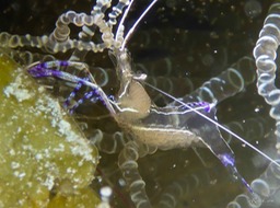 P1020123