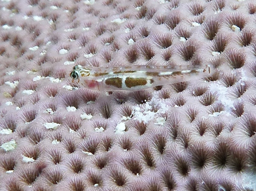 P1020137