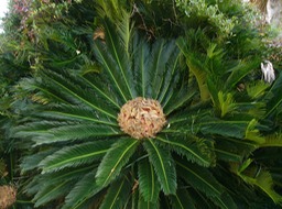 P1020181