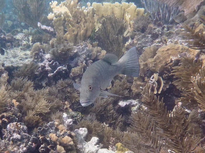 P1020195